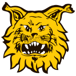 Ilves Tampere